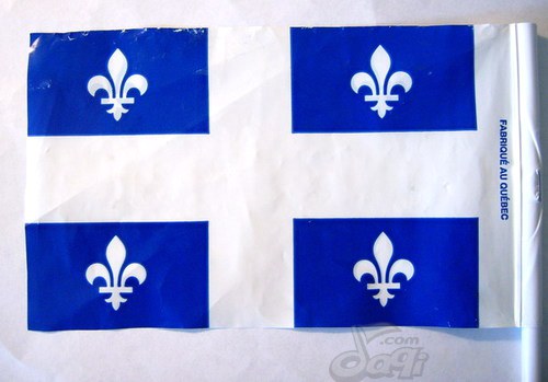 法国鸢尾花旗帜图片